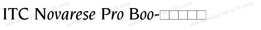 ITC Novarese Pro Boo字体转换